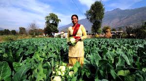 Organic farming and climate-resilient FPO network for smallholder farmers