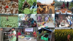 Dairy farmers and allied agriculture support network in rural India