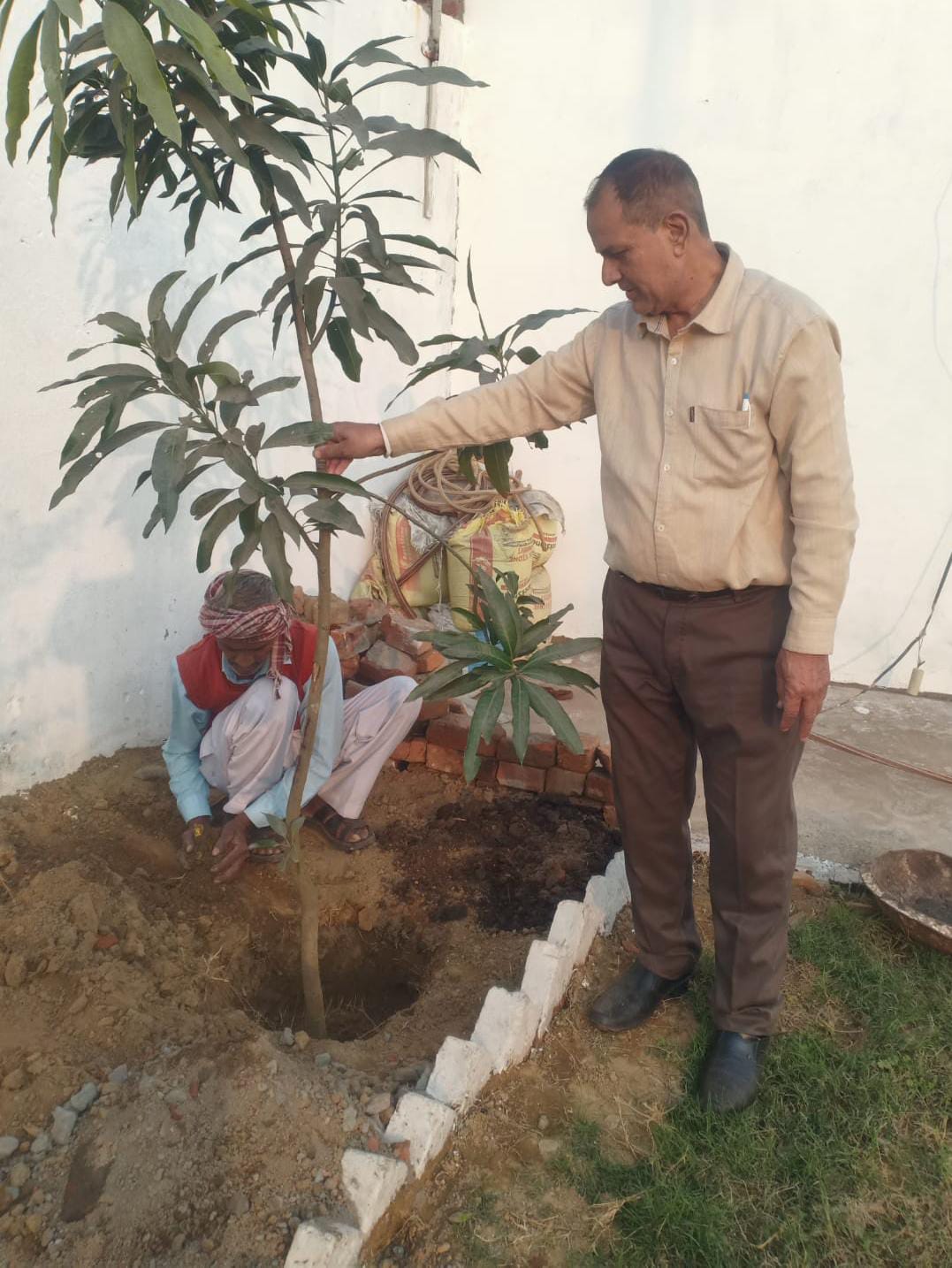 Sarvhit volunteers planting saplings